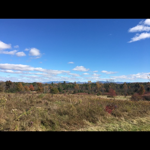 Meet your Posher, Kathryn - Picture 1 of 1